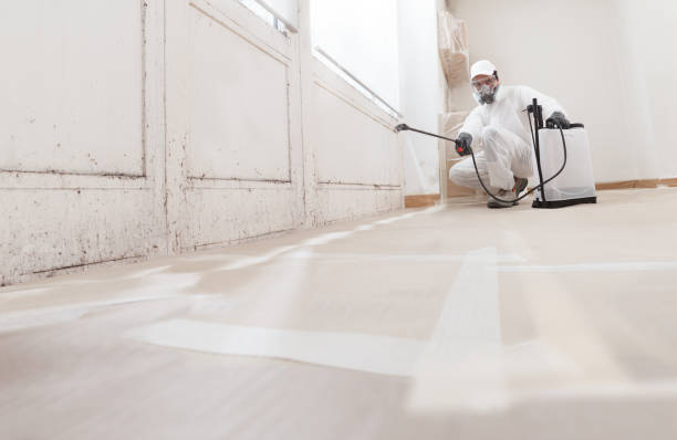 24/7 Emergency Mold Testing experts in Lakewood, WA