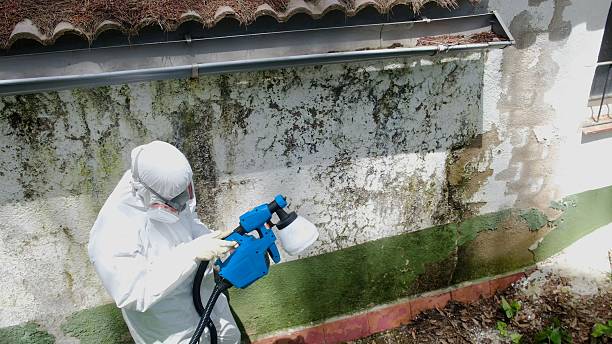 Trusted Commercial Mold Remediation service in Lakewood, WA - Cheap Mold Removal